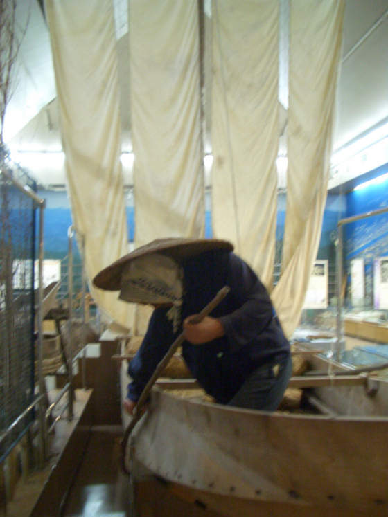 Oysterfisher in Museum