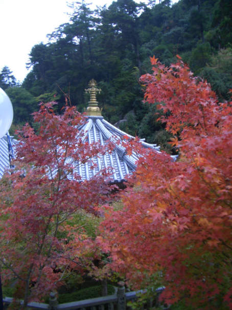 Autumn at the temple