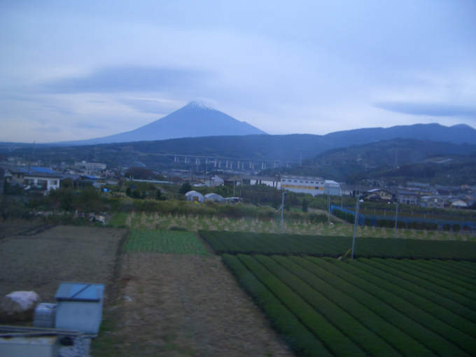 Mt. Fuji and tea in the foreground
