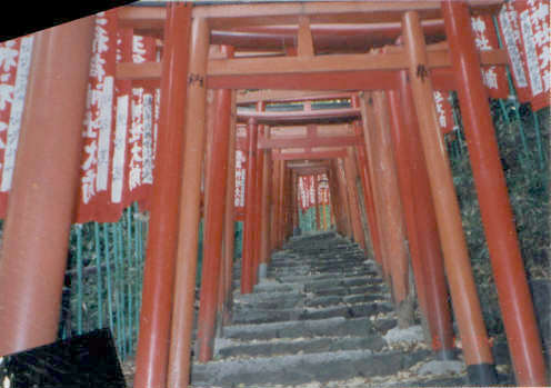 Torii Bögen auf dem Weg zum Hie-Jima Tempel