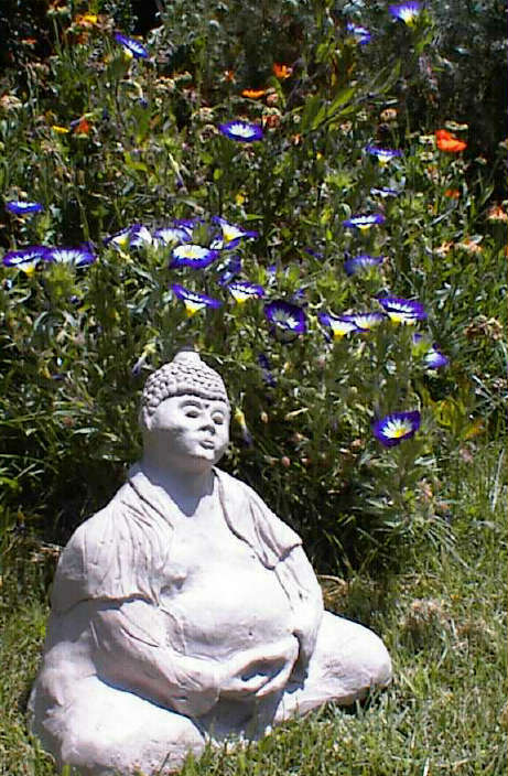 Buddha im Blütenmeer der Morning Glory - Buddha surrounded by flowering Morning Glory