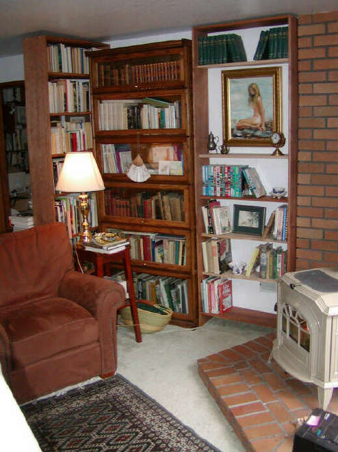 Der Holzofen in der Bibliothek / the woodstove in the library